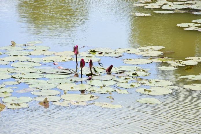 WhatsApp Image 2022-06-11 at 12.33.00 PM