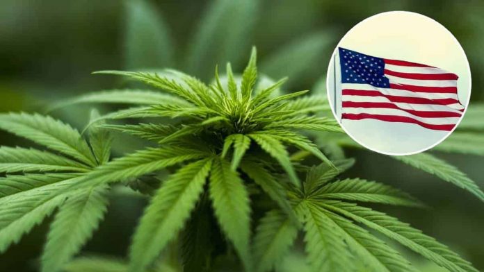 WhatsApp Image 2023-10-15 at 7.46.23 PM