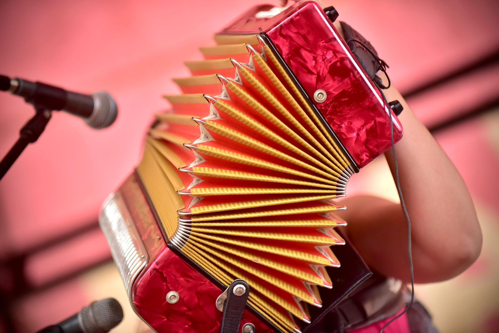 El Festival Vallenato 2024 ya tiene sus primeros reyes