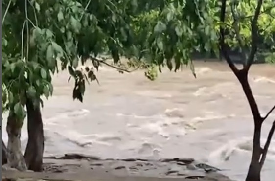 WhatsApp Image 2024-05-09 at 1.13.44 PM