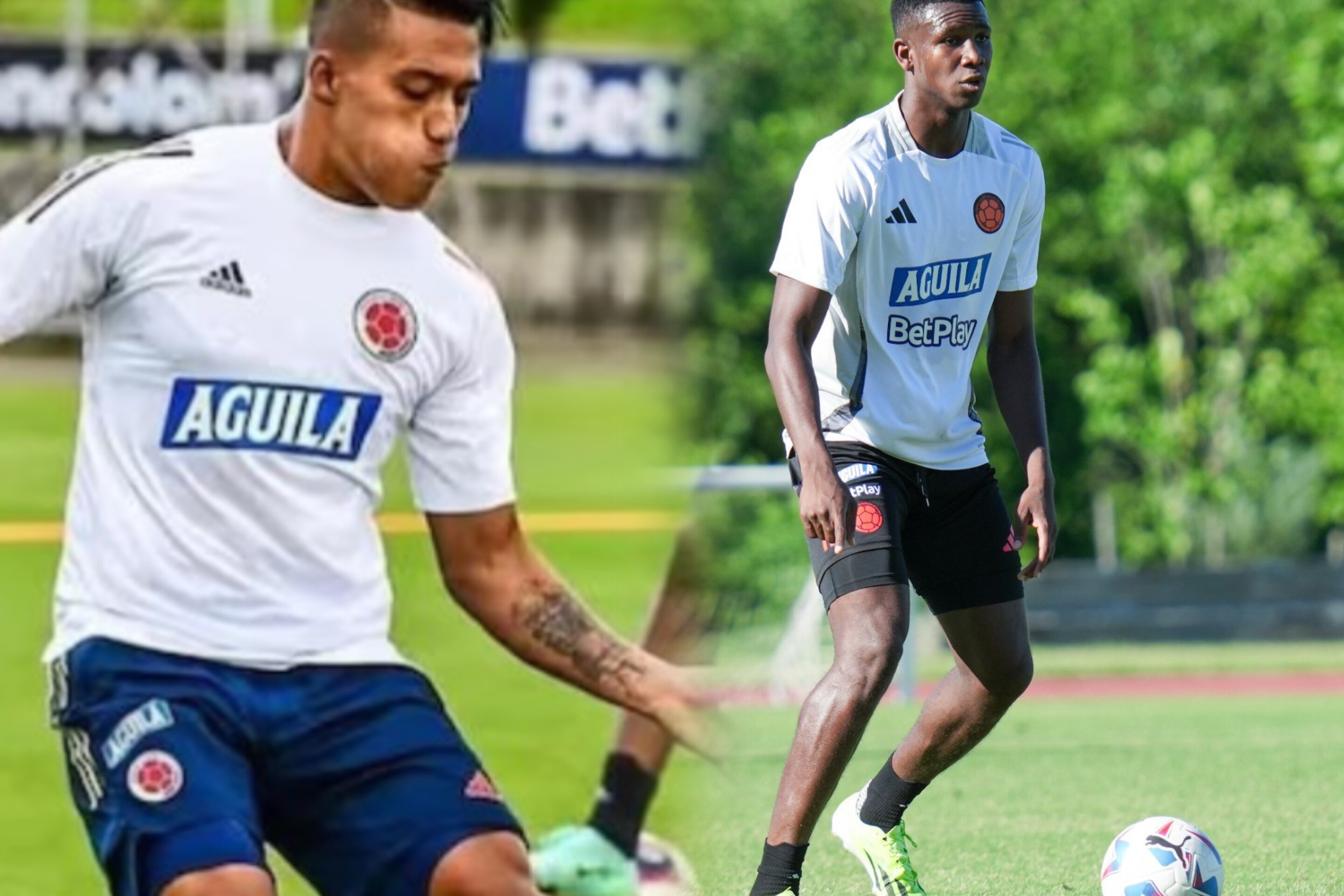 Sebastián Gómez y Yerson Mosquera no jugarán la Copa América 2024