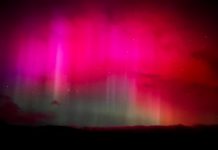 Asombrosas auroras rojas pintaron el cielo en Fairbanks, Alaska