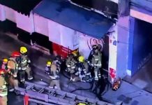 Bomberos rescataron con vida a un perro tras incendio en el centro de Medellín