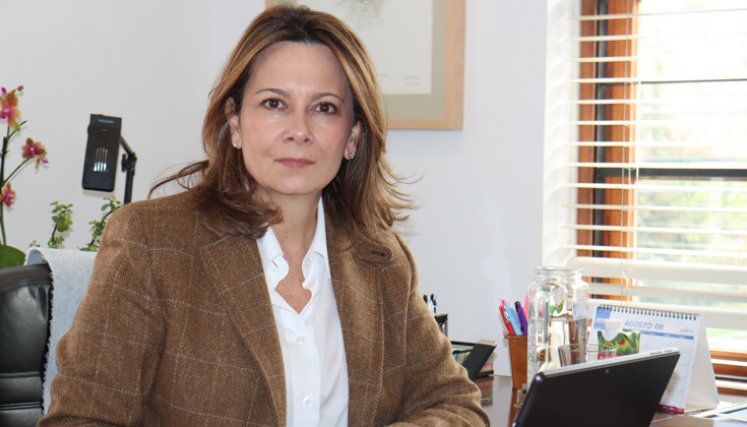 Ana María Vesga, nueva ministra de Salud del gobierno de Abelardo De la Espriella.
