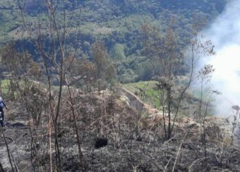 Incendios forestales en Colombia mantienen en alerta a 312 municipios