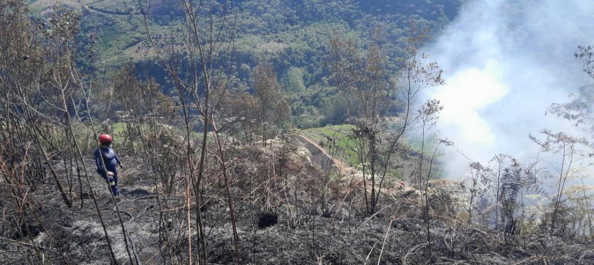 Incendios forestales en Colombia mantienen en alerta a 312 municipios